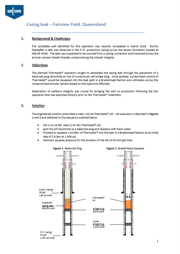 Wellcem Case Study - Casing Leak - Fairview Field - Queensland, Australia